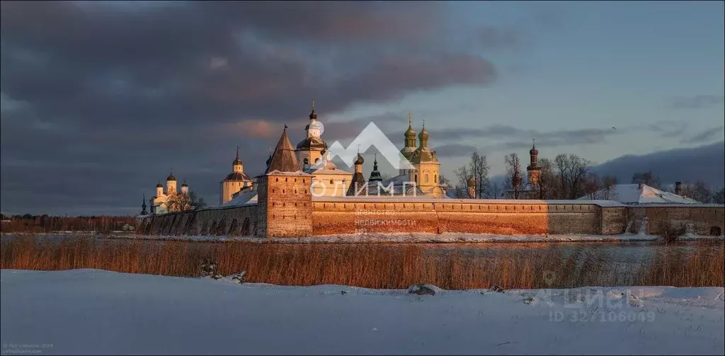 Участок в Вологодская область, Кириллов ул. Лелекова (8.0 сот.) - Фото 1