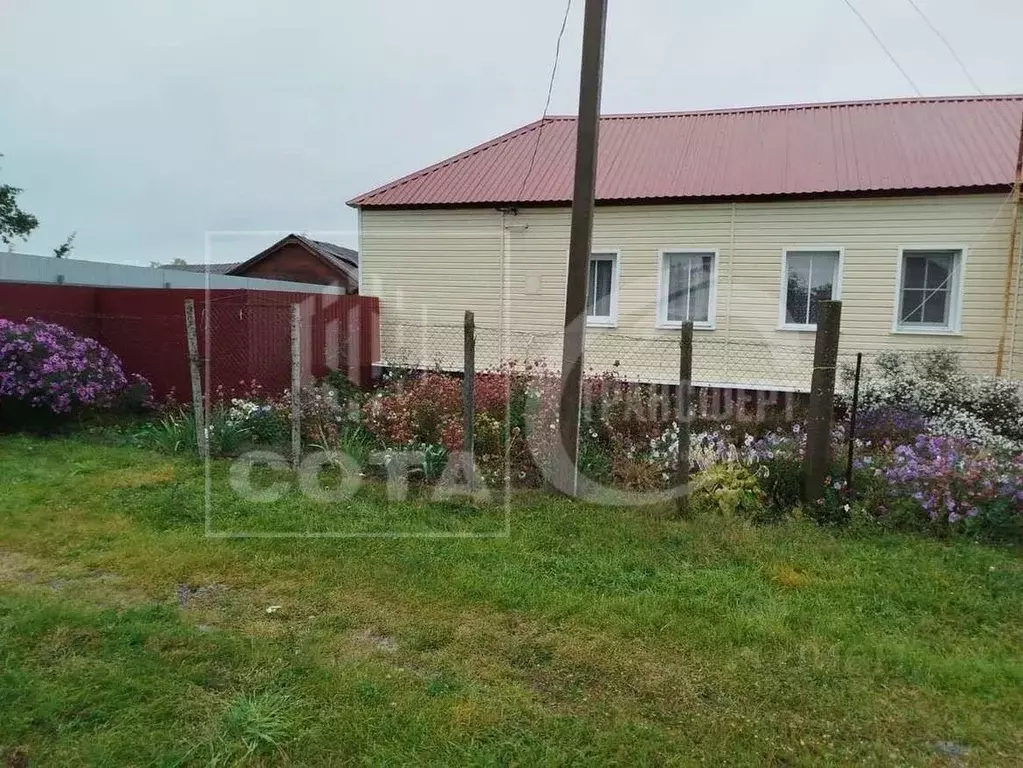 Дом в Воронежская область, Хохольский район, с. Петино Зеленая ул., 13 ... - Фото 2