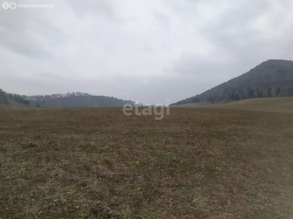 Участок в Алтайский район, Алтайский сельсовет (10 м) - Фото 1