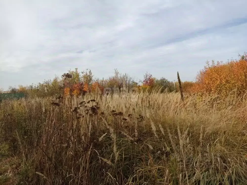 Участок в Марий Эл, Медведевский район, Руэмское с/пос, пос. Руэм  ... - Фото 0