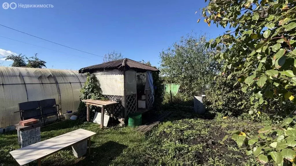 Участок в Миасс, СНТ Маяк (3.26 м) - Фото 2