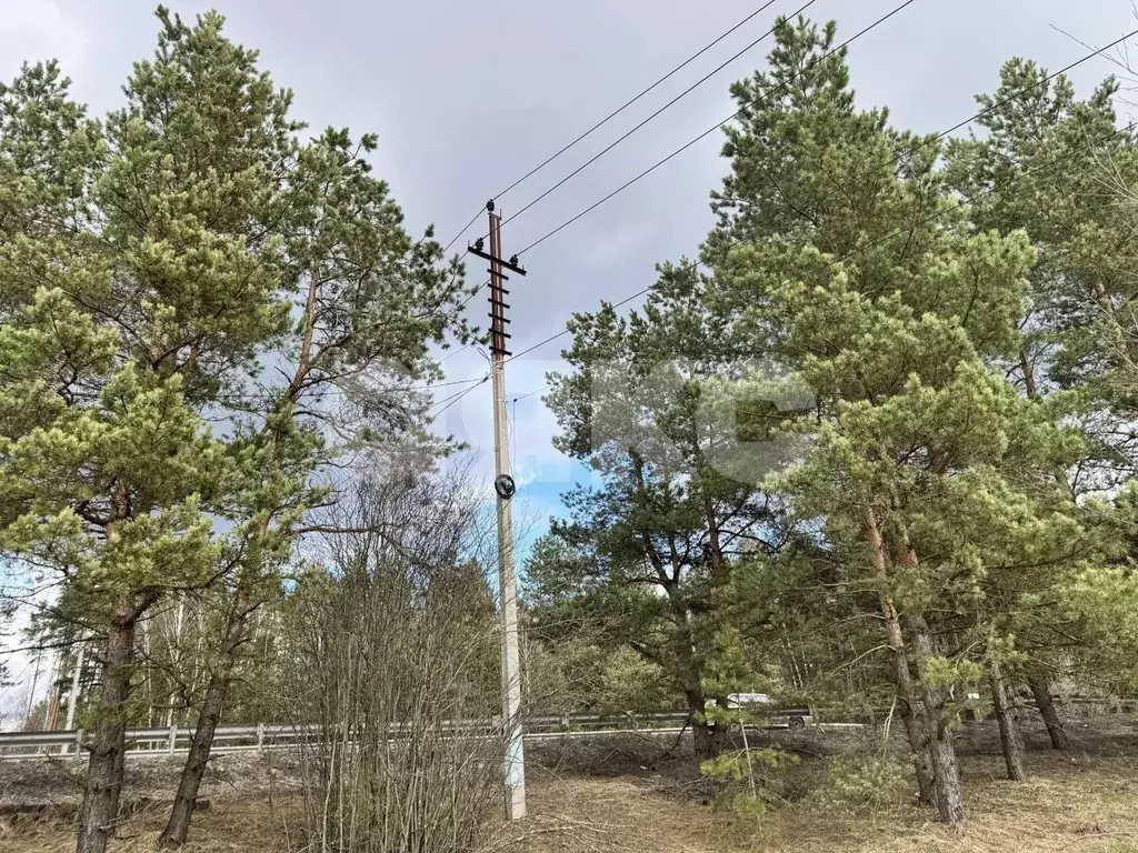 Участок в Московская область, Орехово-Зуевский городской округ, с. ... - Фото 1