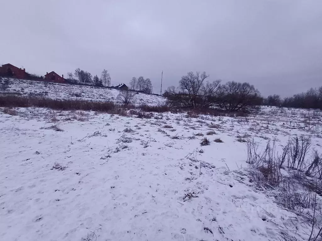 Участок в Московская область, Щелково городской округ, пос. ... - Фото 2