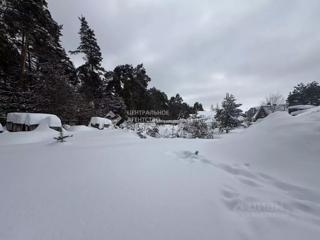 Участок в Рязанская область, Рязань Вольная ул. (10.3 сот.) - Фото 2