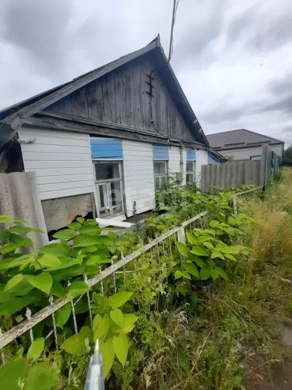 Дом в Белгородская область, Алексеевка ул. Никитина, 35 (60 м) - Фото 1