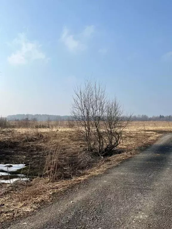 Участок в Московская область, Клин городской округ, д. Пустые Меленки ... - Фото 1