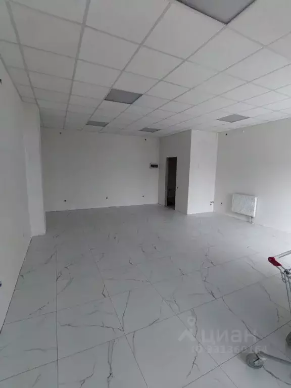 Помещение свободного назначения в Краснодарский край, Краснодар Имени ... - Фото 1