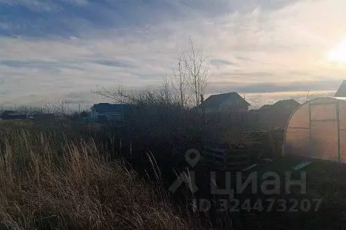 Участок в Новгородская область, Новгородский район, Савинское с/пос, ... - Фото 2