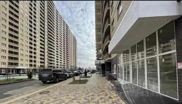 Помещение свободного назначения в Краснодарский край, Краснодар Имени ... - Фото 1