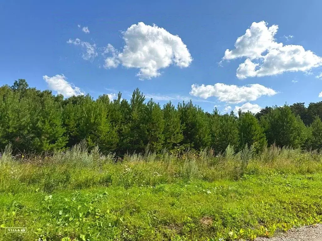 Участок в Свердловская область, Белоярский муниципальный округ, пос. ... - Фото 1
