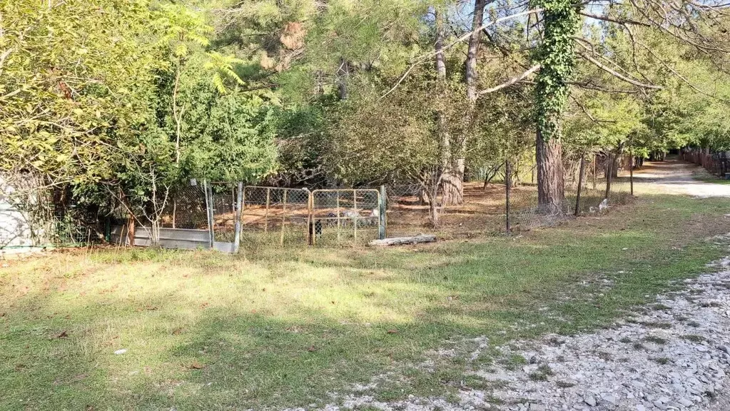 Участок в Краснодарский край, Геленджик городской округ, Джанхот хут.  ... - Фото 1