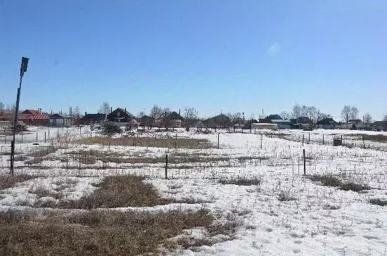 Участок в Самарская область, Ставропольский район, Тимофеевка с/пос, ... - Фото 2