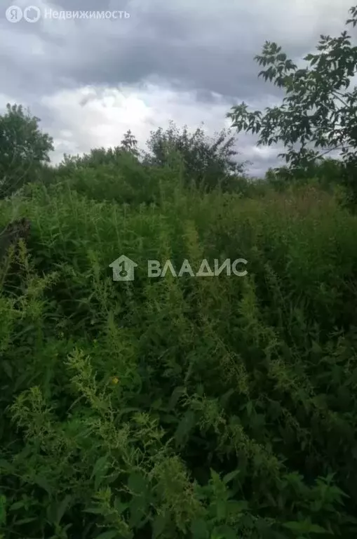 Дом в Кемерово, Зашахтовая улица, 129 (38 м) - Фото 0