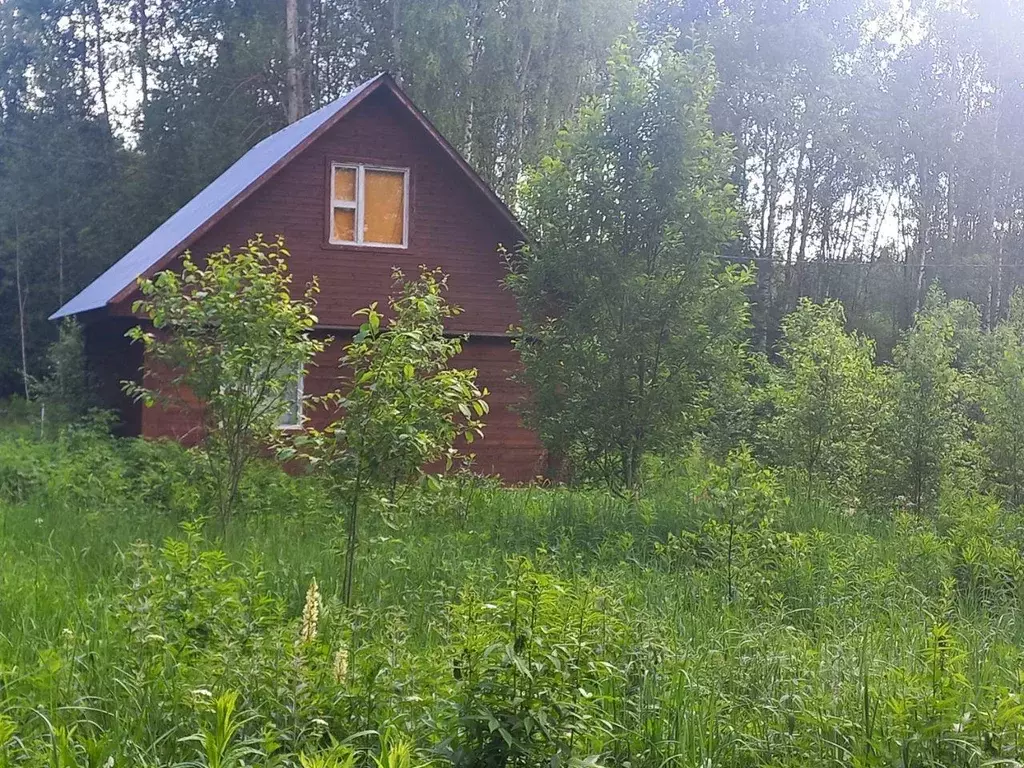 Дача, 55 м - Фото 0