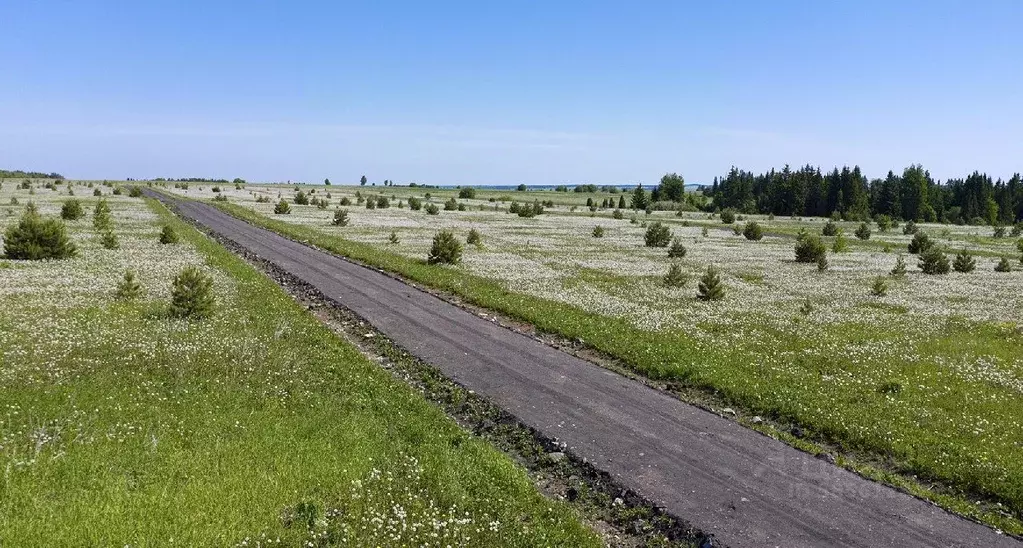 Участок в Удмуртия, Завьяловский район, д. Красный Кустарь  (6.0 сот.) - Фото 1