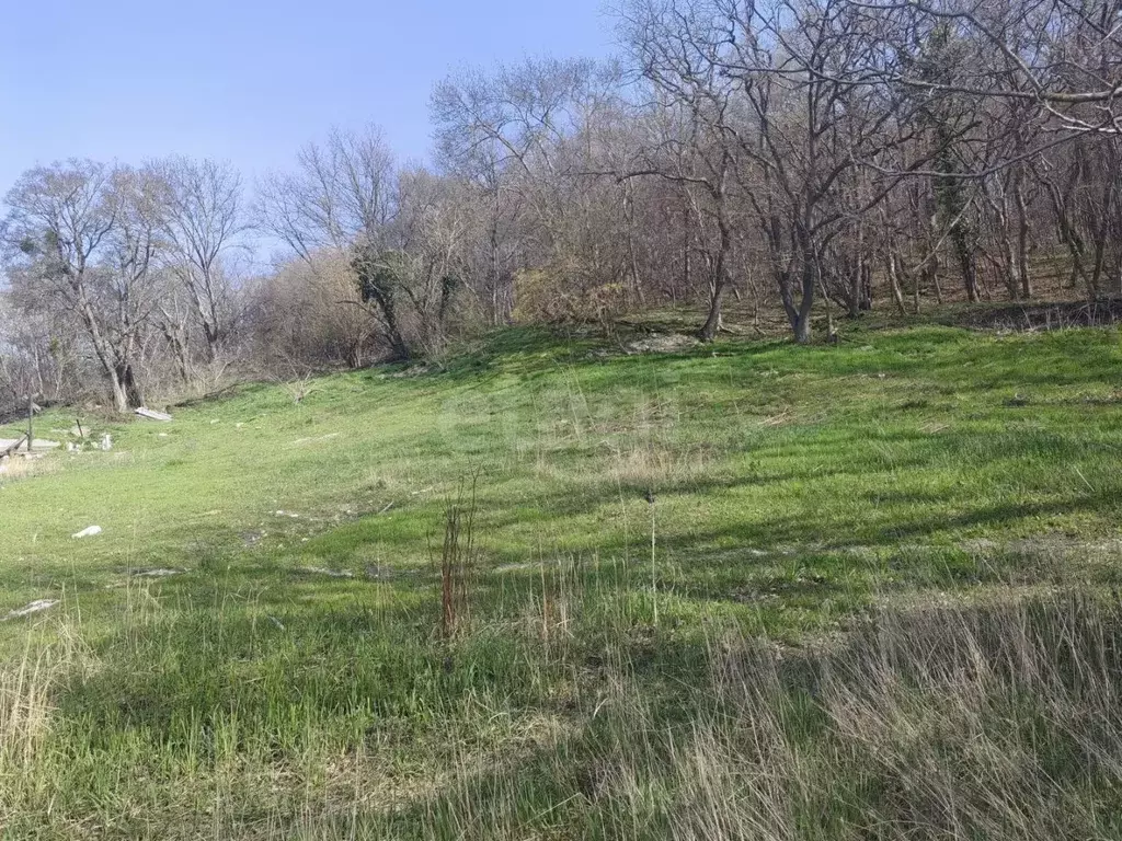 Участок в Краснодарский край, Новороссийск городской округ, ... - Фото 1