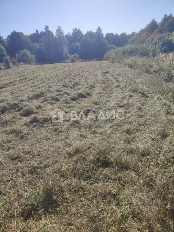 Участок в Владимирская область, Собинский муниципальный округ, д. ... - Фото 1