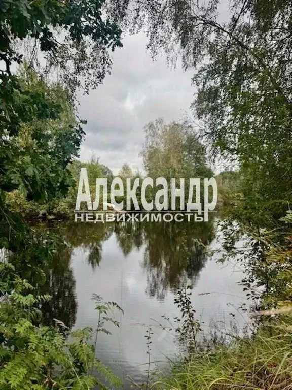 Участок, 11 сот., сельхоз (снт или днп) - Фото 1