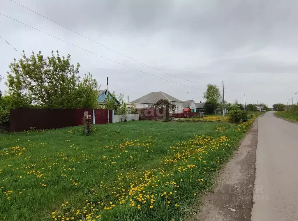 Дом в Белгородская область, Красногвардейский район, Засосенское ... - Фото 1