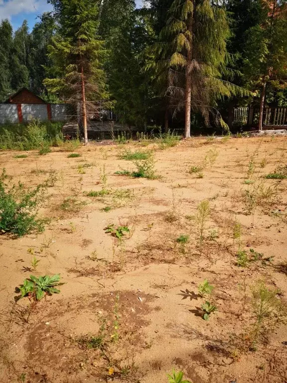 Участок в Московская область, Люберцы городской округ, Малаховка пгт, ... - Фото 1