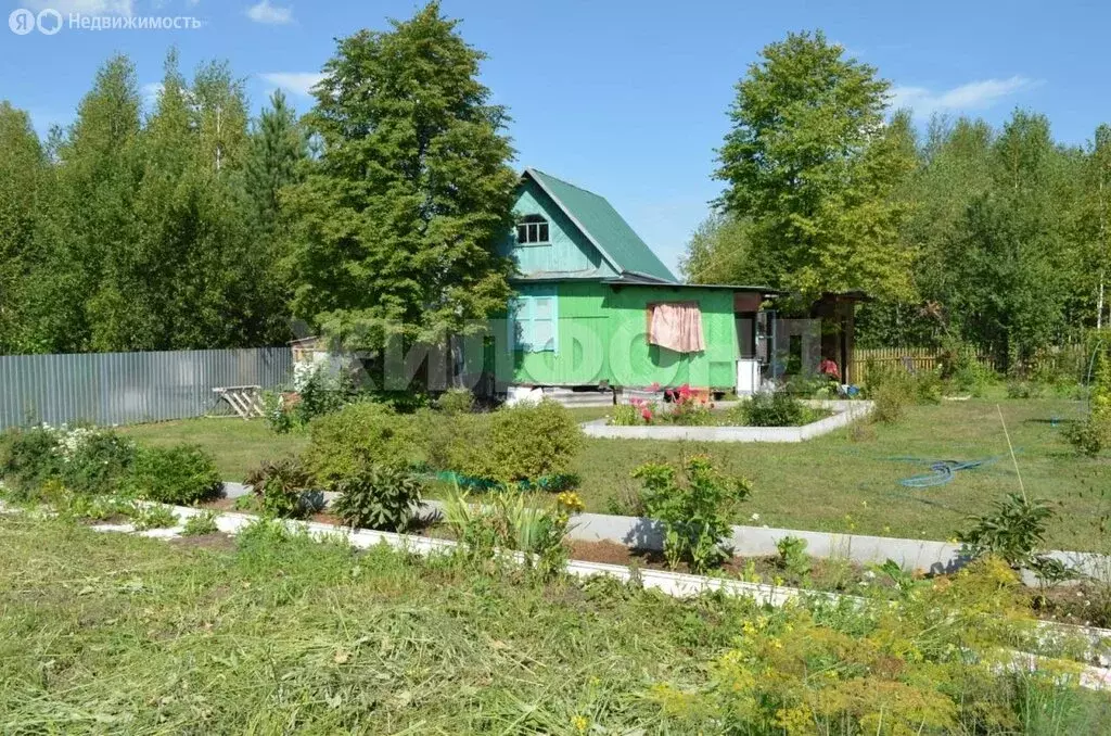 Дом в Тогучинский район, Репьевский сельсовет, село Репьёво (60 м) - Фото 1