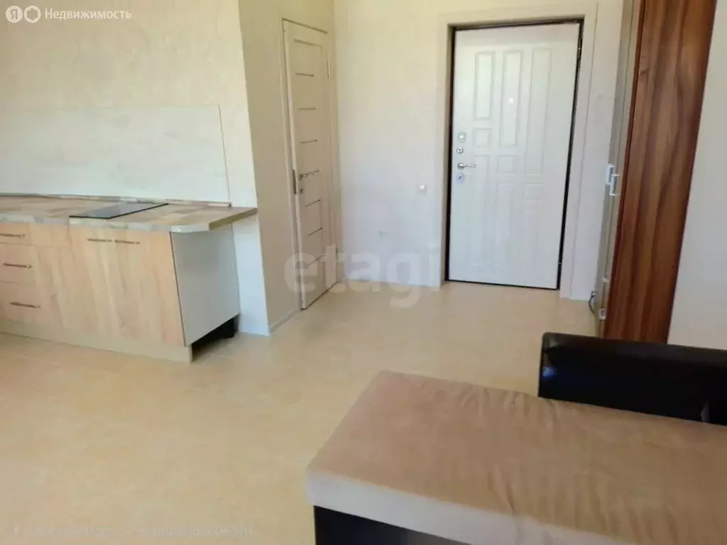 Квартира-студия: Анапа, Пионерский проспект, 274Б (23.9 м) - Фото 2