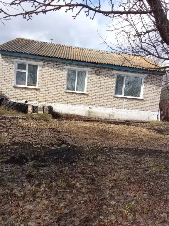 Коттедж в Самарская область, Челно-Вершины с/пос, с. Челно-Вершины ул. ... - Фото 1