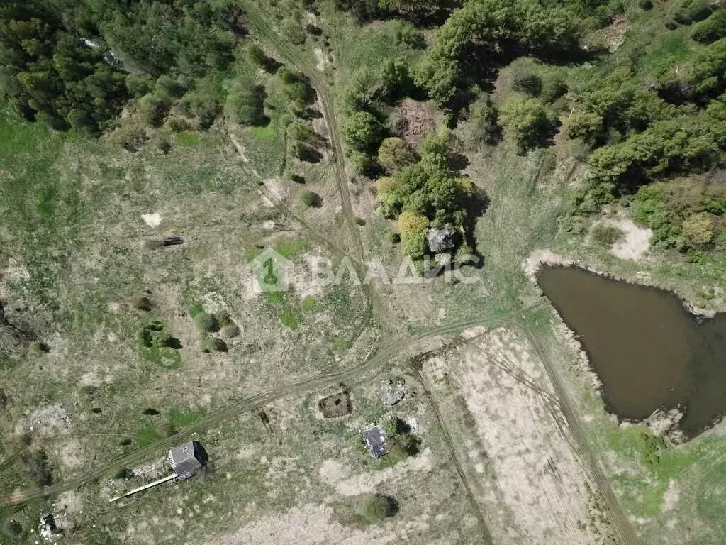 Участок в Владимирская область, Суздальский район, Новоалександровское ... - Фото 1