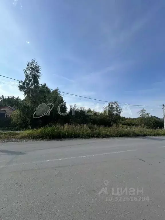 Участок в Тюменская область, Тюменский муниципальный округ, Винзили рп ... - Фото 1