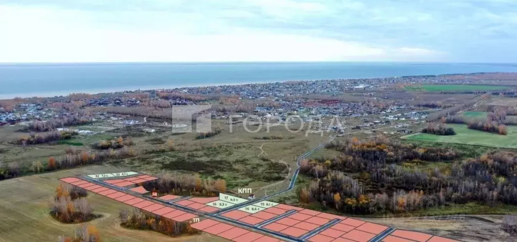 Участок в Новосибирская область, Новосибирский район, Морской ... - Фото 1