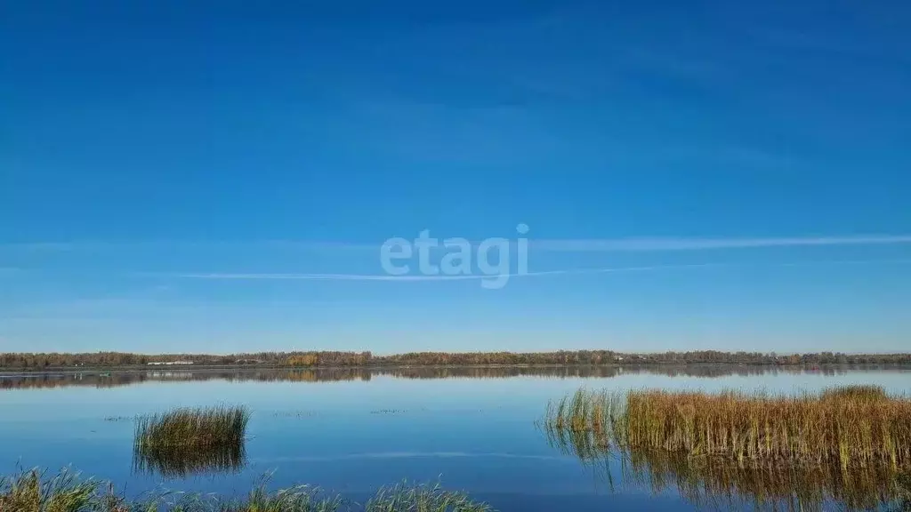 Участок в Ярославская область, Некрасовское с/пос, Волжская Дубрава кп ... - Фото 1