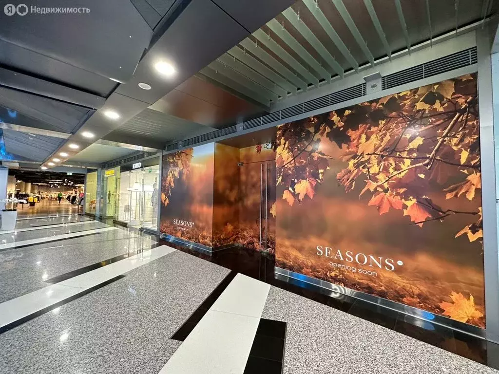 Торговая площадь (381.7 м) - Фото 1