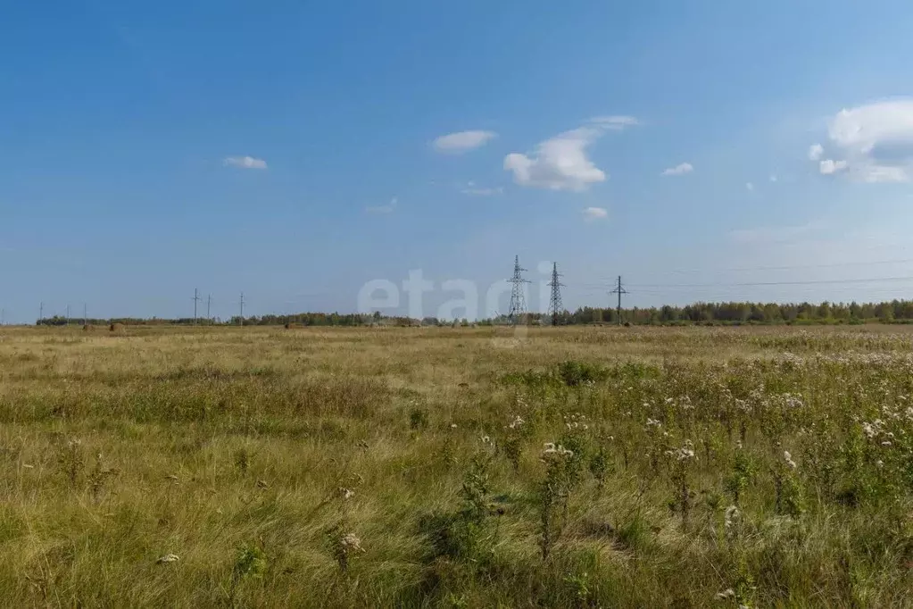 Участок в Тюменская область, Тюмень Яровское садовое товарищество,  ... - Фото 0