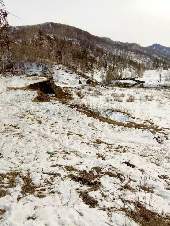 Участок в Алтай, Чемальский район, с. Толгоек  (8.0 сот.) - Фото 1
