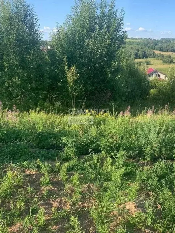 Участок в Московская область, Яхрома Дмитровский муниципальный округ, ... - Фото 2