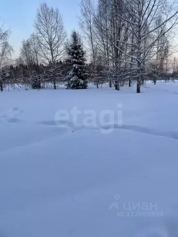 Участок в Московская область, Истра муниципальный округ, д. Холмы 84 ... - Фото 0