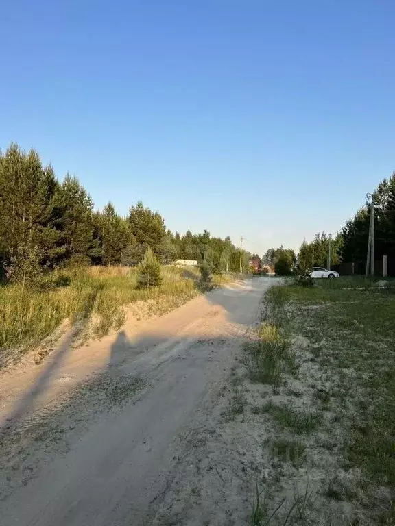 Участок в Курганская область, Кетовский муниципальный округ, д. Белый ... - Фото 2