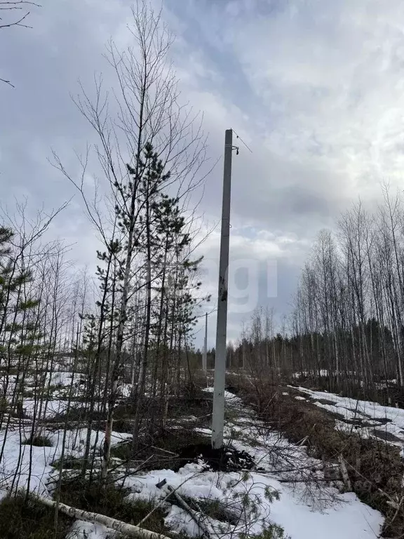 Участок в Архангельская область, Архангельск Исакогорка коллектив ... - Фото 0