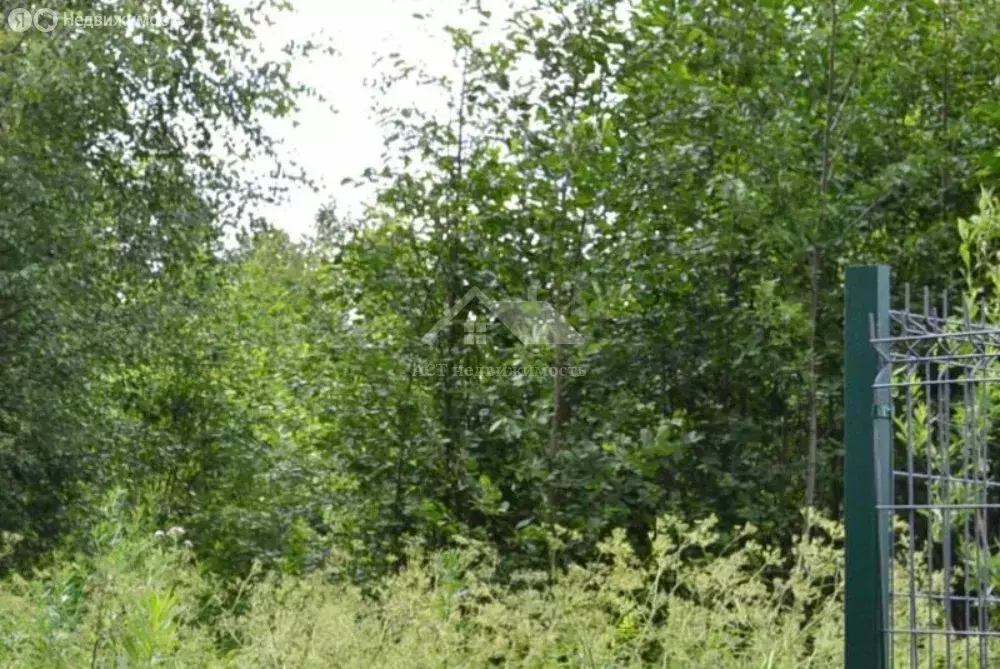 Участок в Московская область, Сергиево-Посадский городской округ, ... - Фото 1