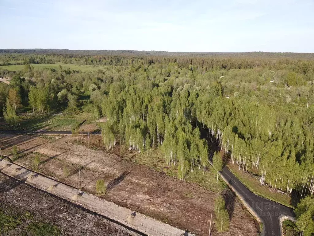 Участок в Ленинградская область, Всеволожский район, Куйвозовское ... - Фото 1