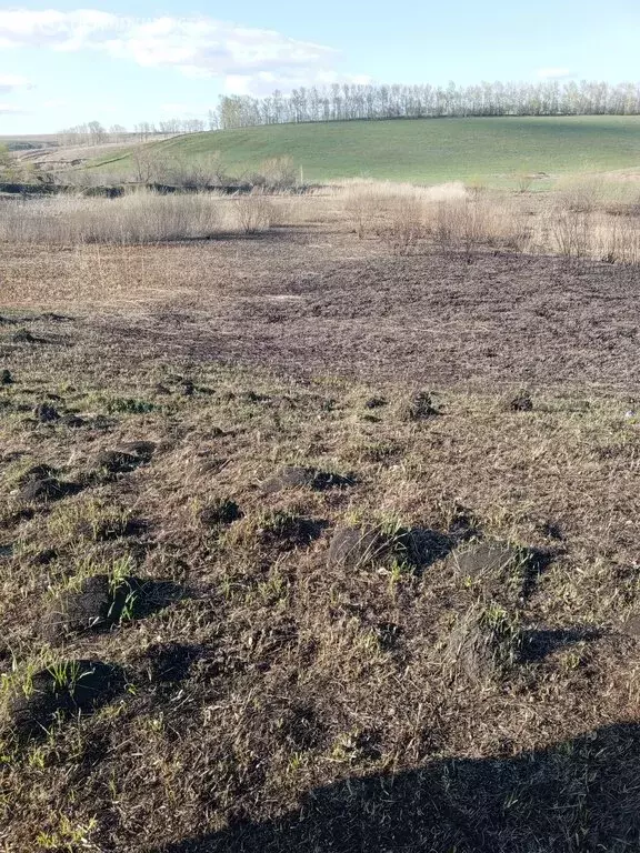 Участок в село Алтайское, Советская улица (100.92 м) - Фото 2