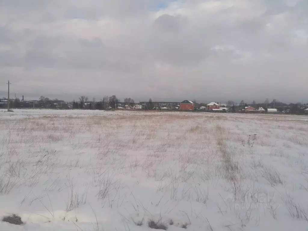 Участок в Московская область, Раменский городской округ, с. Давыдово  ... - Фото 1