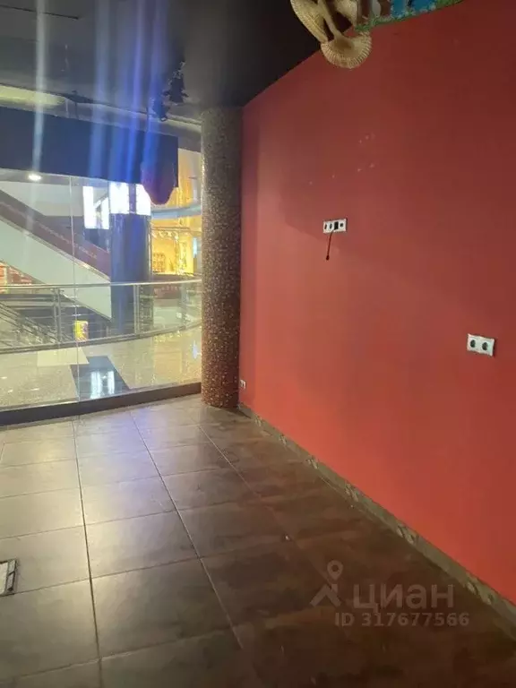 Помещение свободного назначения в Москва ул. Охотный Ряд, 2 (370 м) - Фото 1