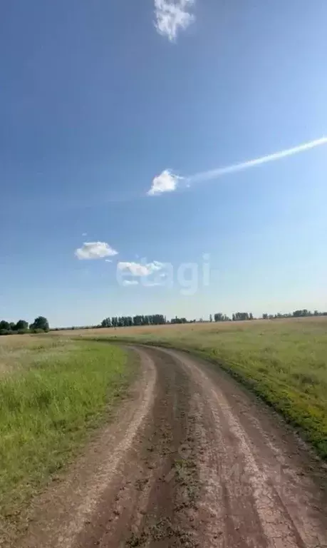 Участок в Татарстан, Тукаевский район, Биюрганское с/пос, д. Кулушево  ... - Фото 1