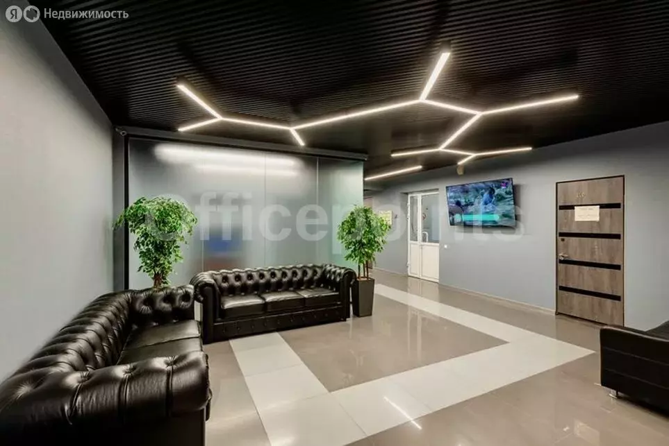Офис (324.8 м) - Фото 2