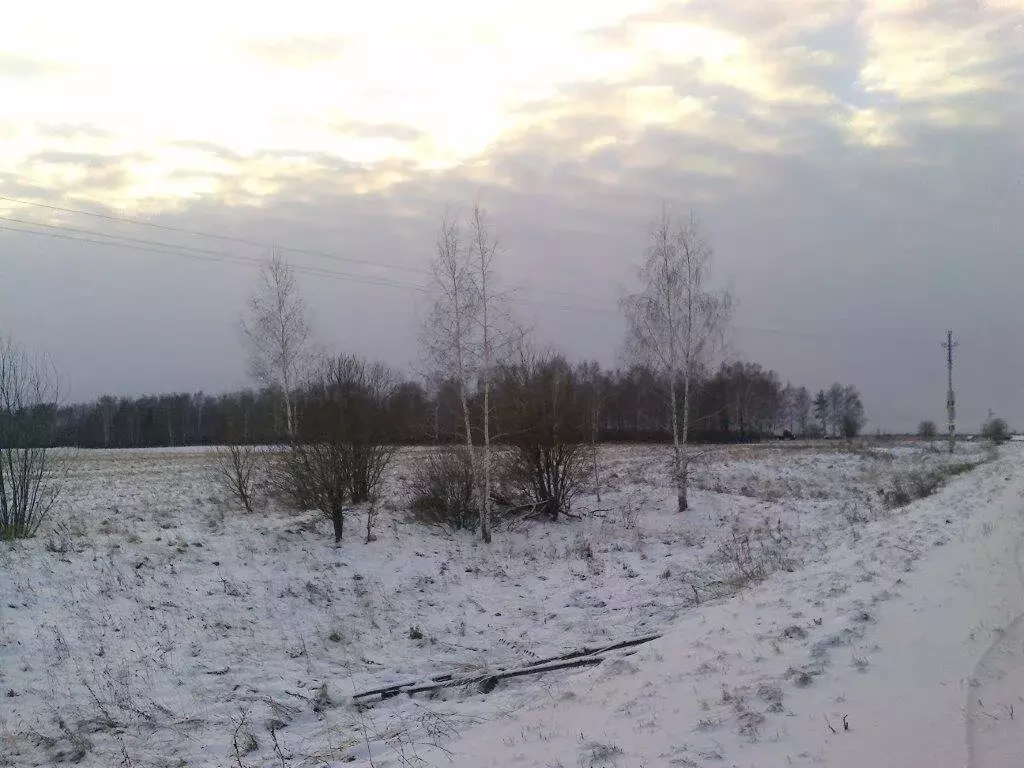 Участок в Нижегородская область, Лысковский муниципальный округ, ... - Фото 1