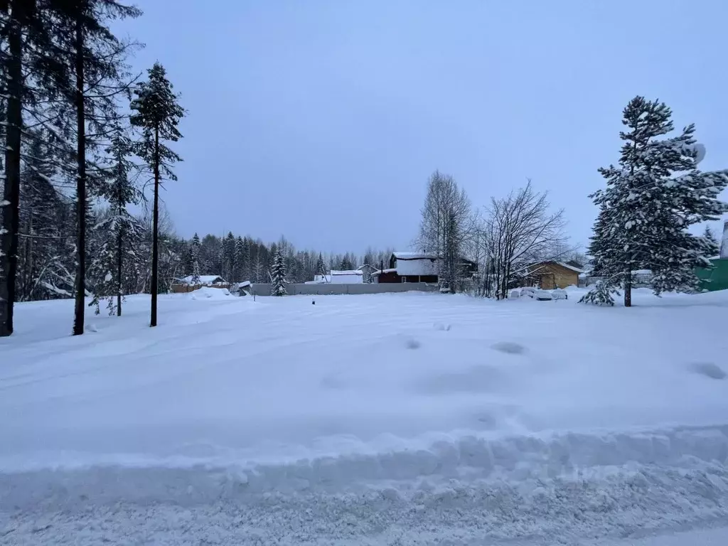 Участок в Пермский край, Пермь ул. Бродовское Кольцо, 193 (5.0 сот.) - Фото 1