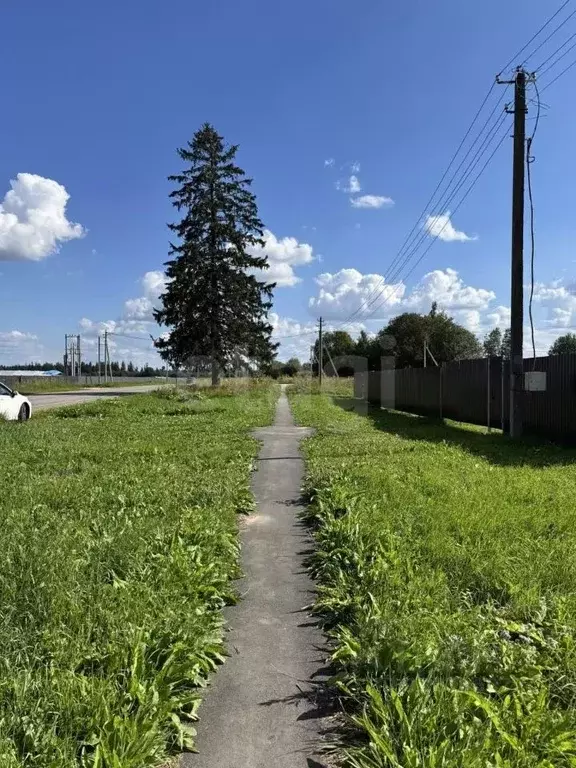 Участок в Ленинградская область, Волосовский район, д. Клопицы  (38.0 ... - Фото 1