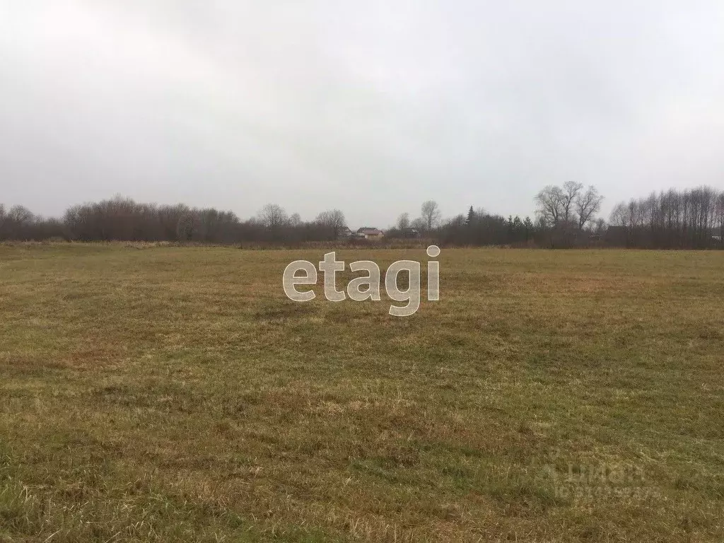 Участок в Архангельская область, Котласский муниципальный округ, д. ... - Фото 1