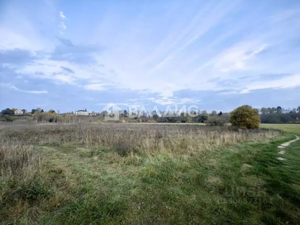 Участок в Московская область, Одинцовский городской округ, д. Рязань ... - Фото 0